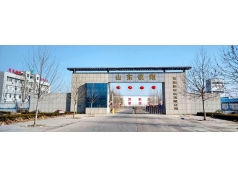 山東領(lǐng)翔新材料股份有限公司