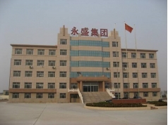 山東永盛集團(tuán)