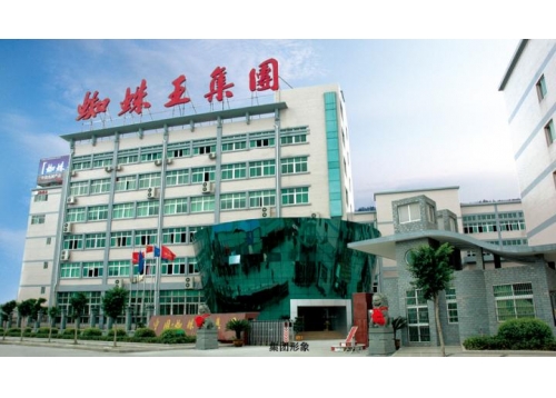 蜘蛛王集團(tuán)